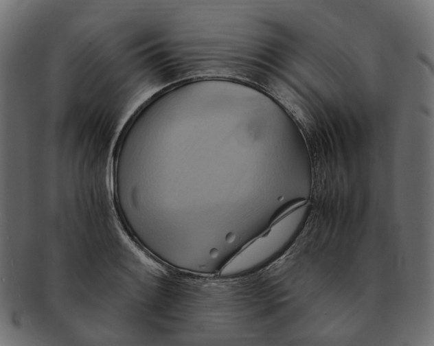 X0000091541084200709071058