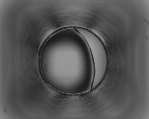 X0000091541085200709071058