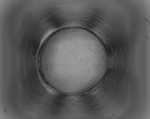 X0000091541086200709071058