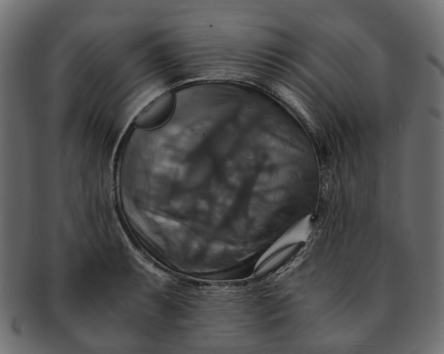 X0000091541087200709071058