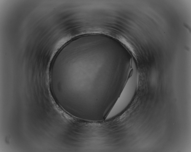 X0000091541088200709071058