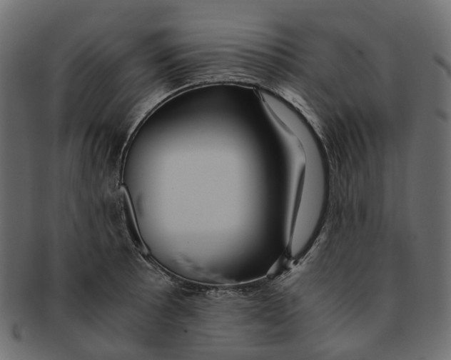 X0000091541089200709071058