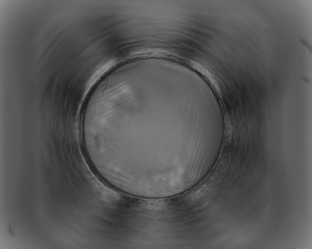 X0000091541090200709071058