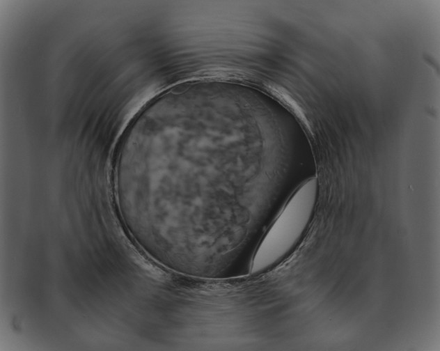 X0000091541091200709071058