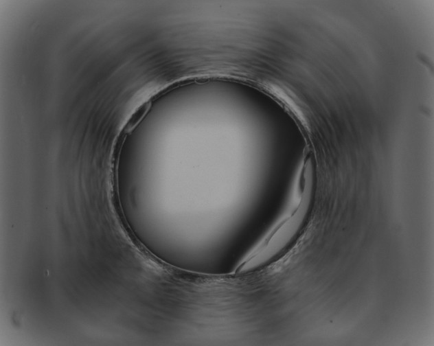 X0000091541093200709071058