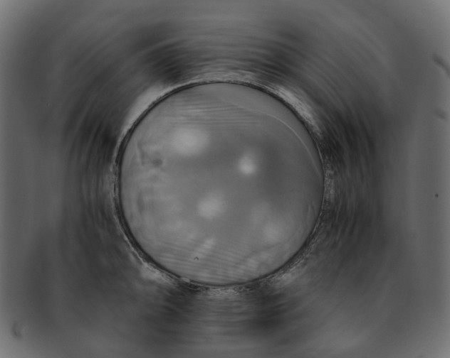 X0000091541094200709071058