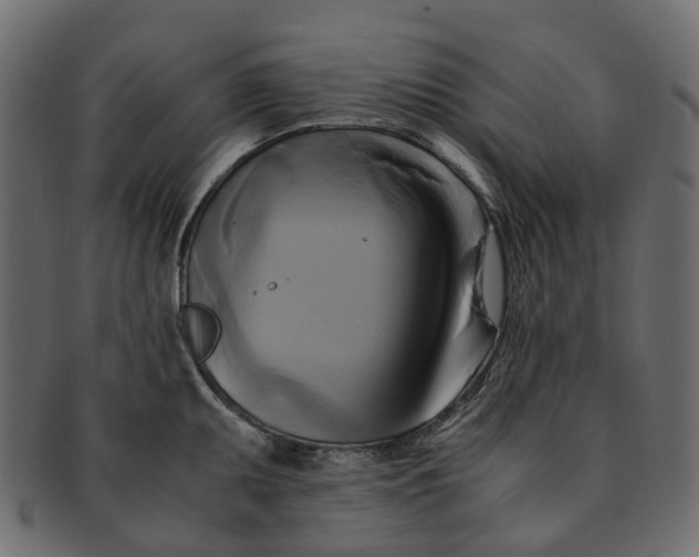 X0000091541095200709071058