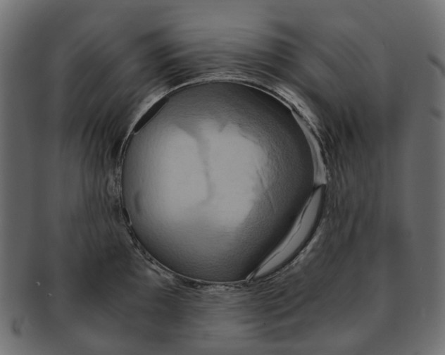 X0000091541097200709071058