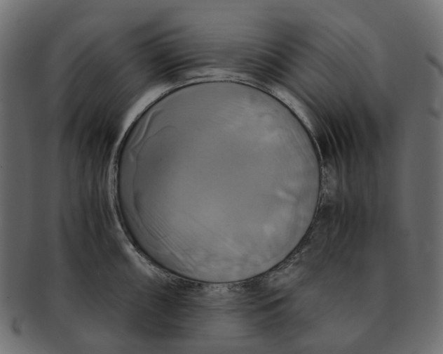 X0000091541098200709071058