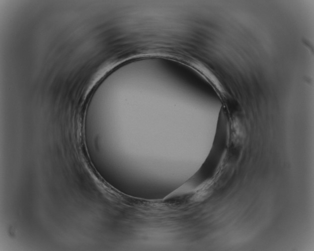 X0000091541101200709071058