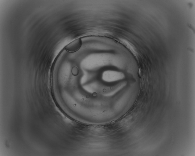 X0000091541103200709071058