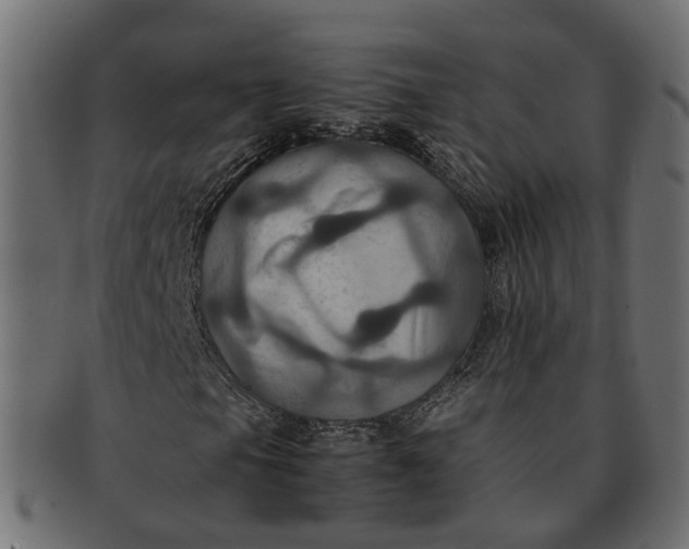 X0000091541105200709071057