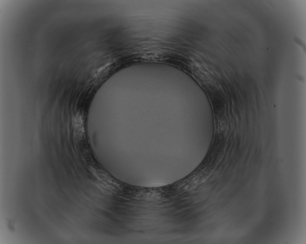 X0000091541106200709071057