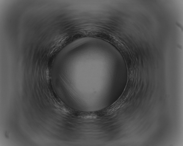 X0000091541108200709071057