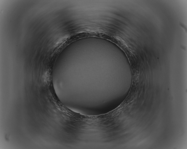 X0000091541110200709071057