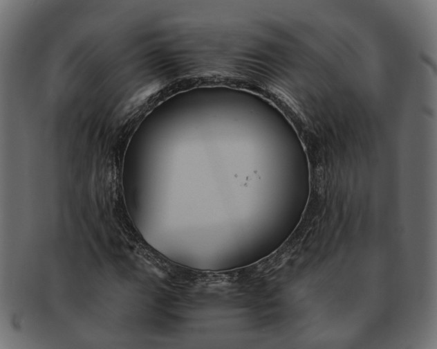 X0000091541111200709071057