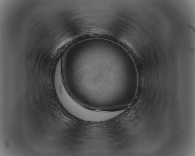 X0000091541112200709071057