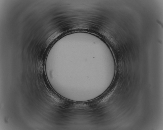 X0000091541113200709071057