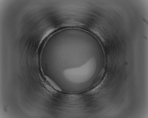 X0000091541114200709071057