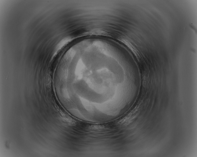 X0000091541115200709071057