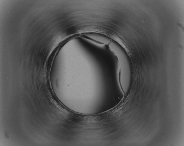 X0000091541116200709071057