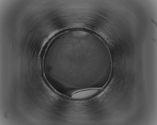 X0000091541118200709071058