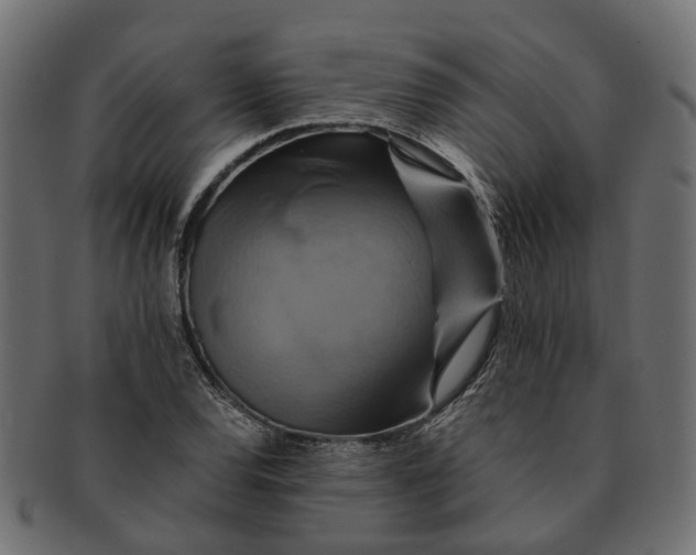 X0000091541120200709071058