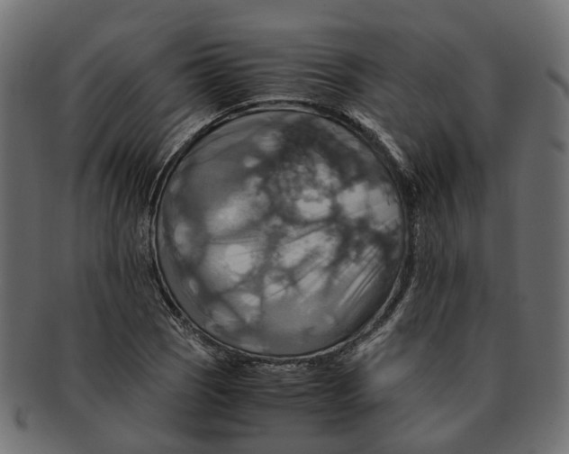 X0000091541121200709071058