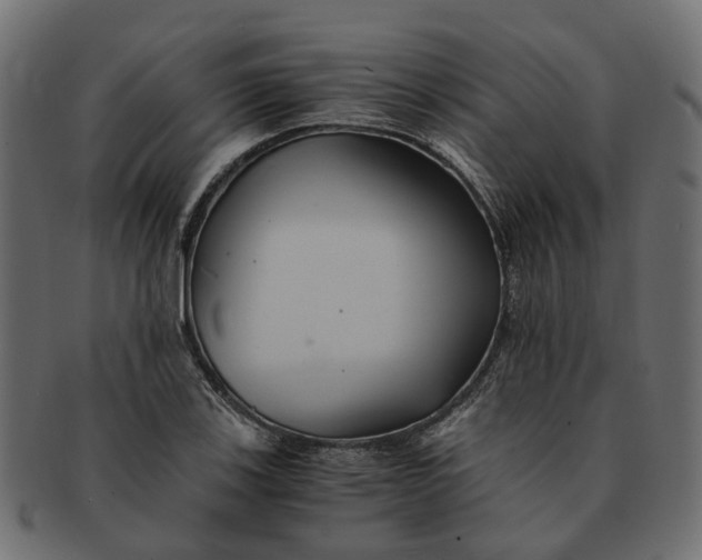 X0000091541123200709071058