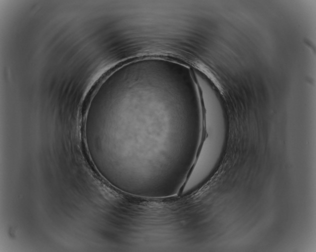 X0000091541124200709071058