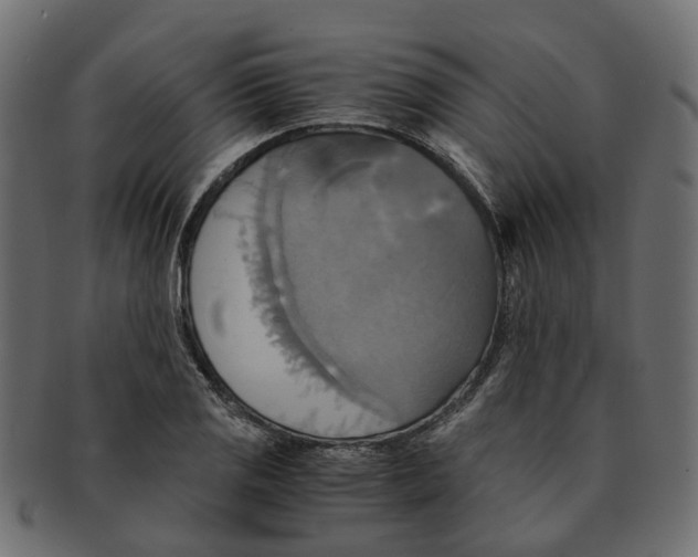 X0000091541125200709071058