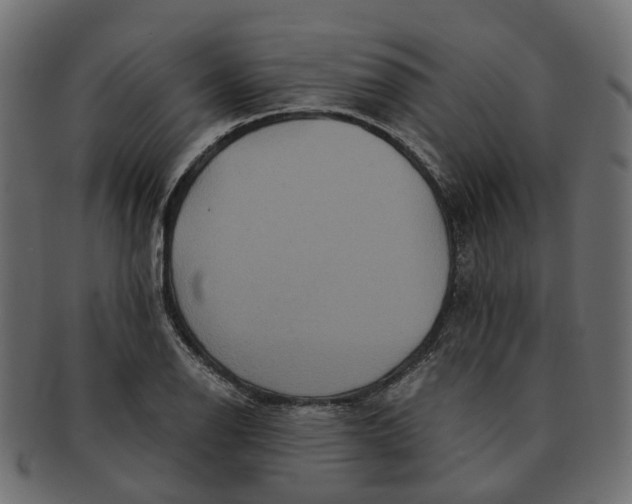 X0000091541126200709071058