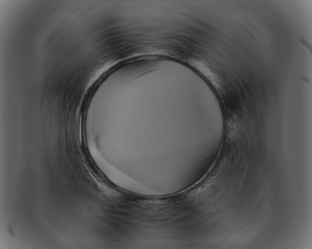 X0000091541127200709071058