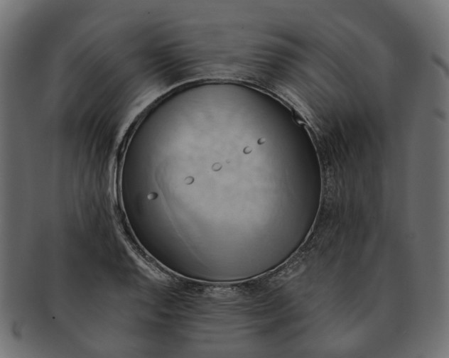 X0000091541128200709071058