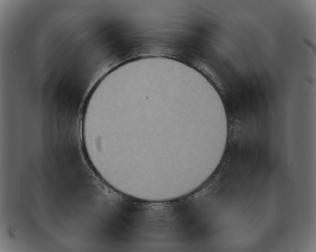 X0000091541130200709071058