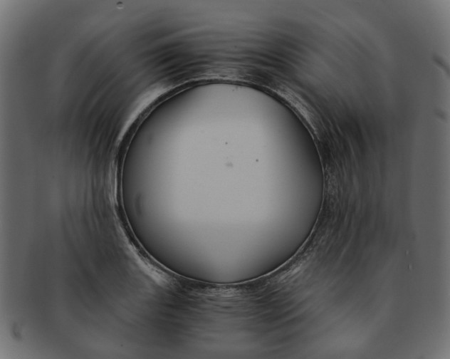 X0000091541131200709071058