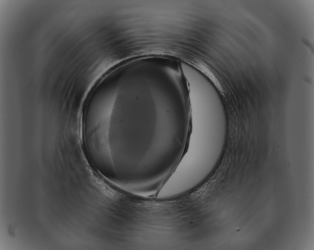 X0000091541132200709071058