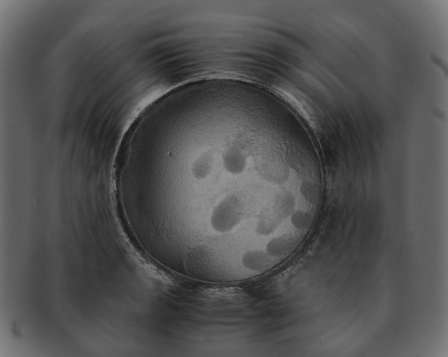 X0000091541133200709071058