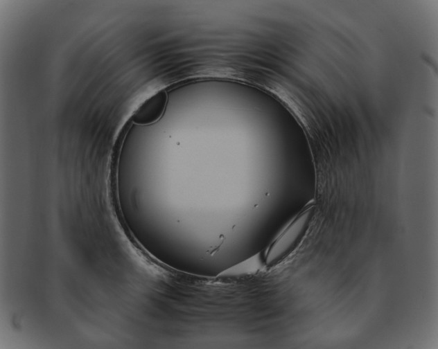 X0000091541139200709071058