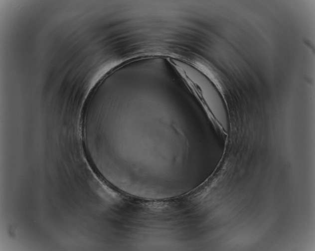 X0000091541141200709071058