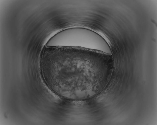 X0000091541142200709071058