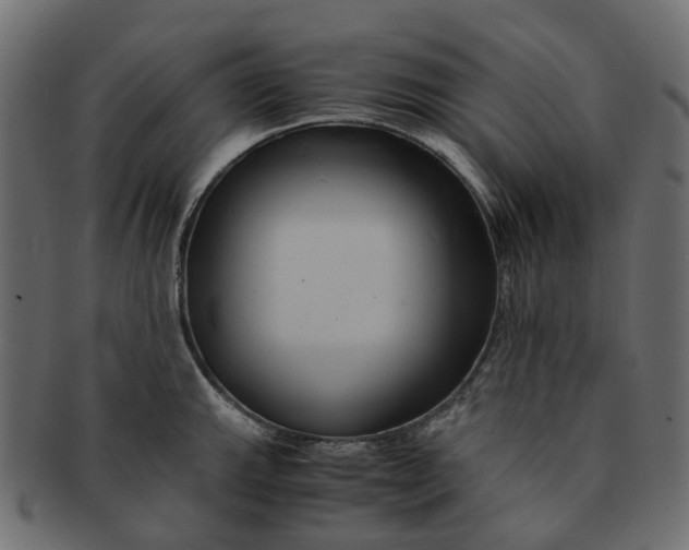 X0000091541143200709071058