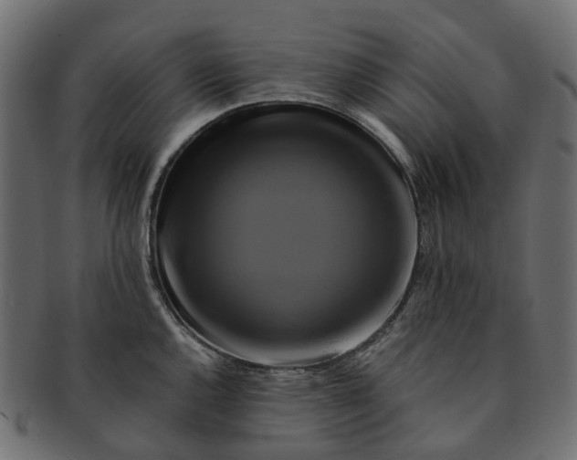 X0000091541144200709071058