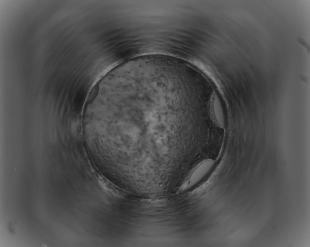 X0000091541145200709071058