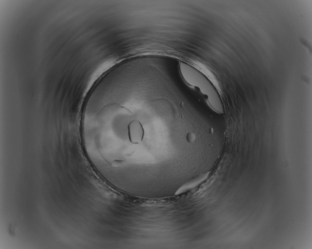 X0000091541146200709071058