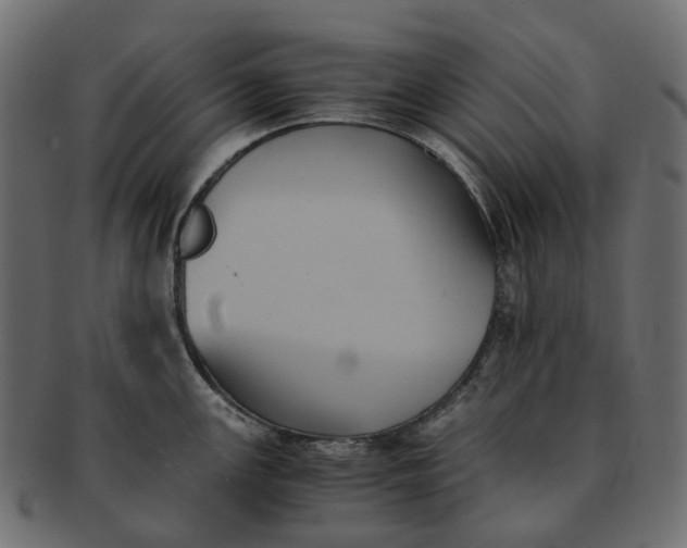 X0000091541147200709071058