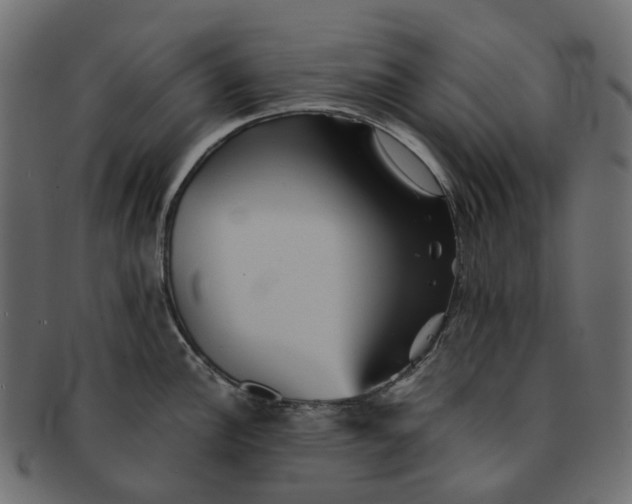 X0000091541148200709071058