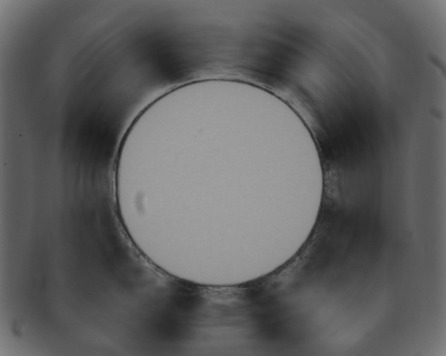 X0000091541150200709071058