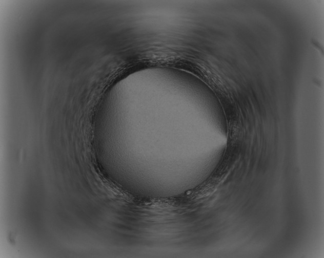 X0000091541153200709071057