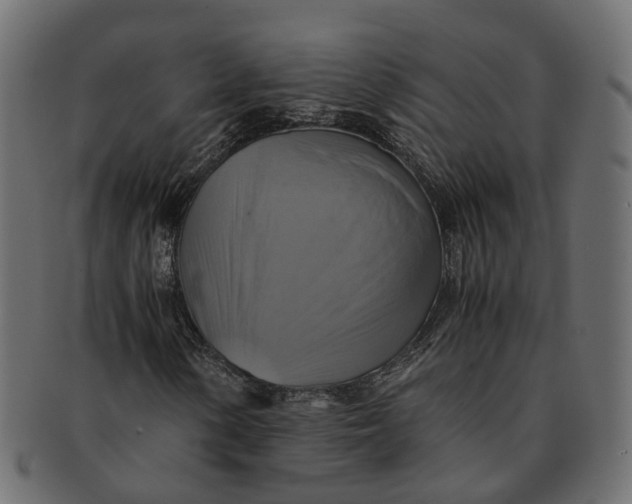 X0000091541154200709071057